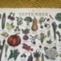 2026 Calendar UK Seasonal Fruit And Vegetable Calendar, thumbnail 10 of 12