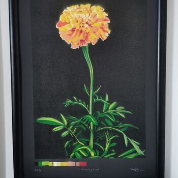 'Marigold' Large Original Handmade Botanical Study, 12 of 12