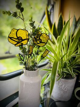 California Poppy Stained Glass Golden Yellow, 3 of 5