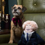 Political Dog Toy, thumbnail 1 of 7