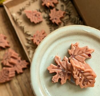 Twilight Woods Autumnal Wax Melts With Woody Scent, 5 of 7