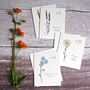 Set Of Six Botanical Wildflower Mini Notecards, thumbnail 1 of 4