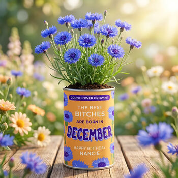 Personalised December Grow Your Own Flower Gift, 2 of 4