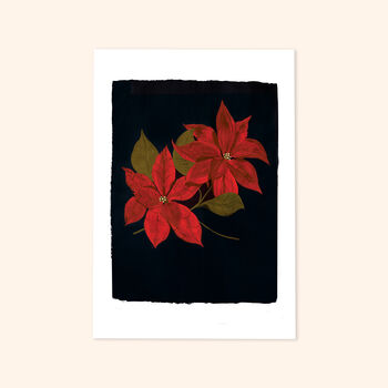Poinsettia Christmas Flower Print, Unframed, 4 of 4