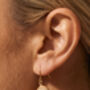 Coastal Shell Drop Hook Earrings, thumbnail 3 of 5