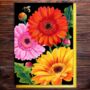 Gerberas Bright All Occasions Blank Card, thumbnail 1 of 2