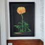 'Marigold' Large Original Handmade Botanical Study, thumbnail 11 of 12