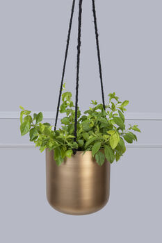 Golden Hanging Planters Set Of Two, 9 of 10