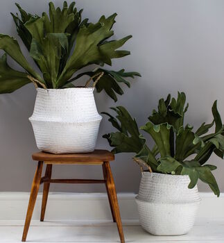 Natural Seagrass Basket Or Planter, 2 of 2
