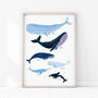 Personalised Whale Family Art Print Unframed, thumbnail 7 of 10