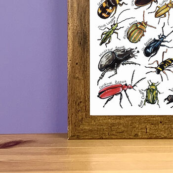 Beetles Of Britain Wildlife Print, 8 of 9
