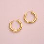 Waterproof Classic Wide Hoop Earrings Gold, thumbnail 3 of 9