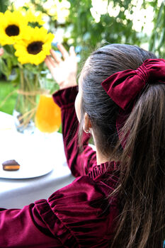 Chiara Girls Velvet Dress With Matching Hair Clip, 2 of 4