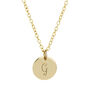 Medium Gold Plated Initial Necklace, thumbnail 3 of 9