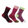Women’s Socks Bundle – Circle, thumbnail 1 of 4