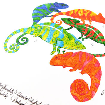 Camouflage Of Chameleons Art Print, 4 of 8