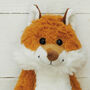 Foxy Dave Soft Plush Toy, From Birth, thumbnail 2 of 3
