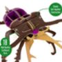 Build Your Own Stag Beetle, thumbnail 5 of 9