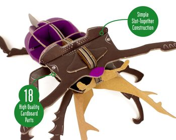Build Your Own Stag Beetle, 5 of 9