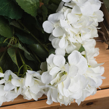 White Hydrangea Bouquet, 3 of 3
