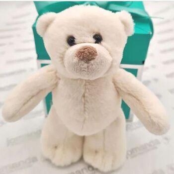 Mini Cream Bear Soft Toy Plush In Gift Box, 3 of 5