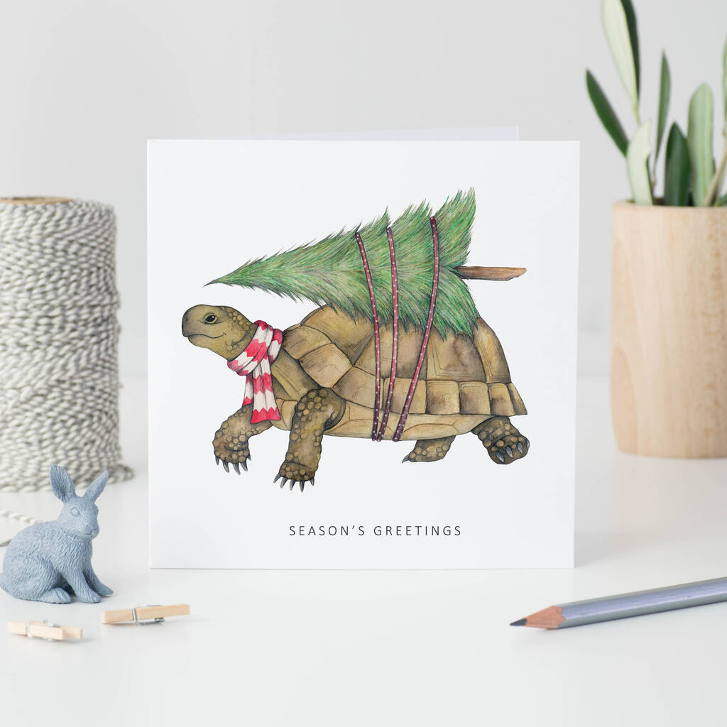 Tortoise Christmas Card, 1 of 4