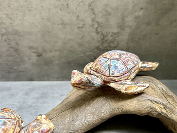 Double Painted Turtle Figurine Ornament – Root Sculpture, 9 of 12