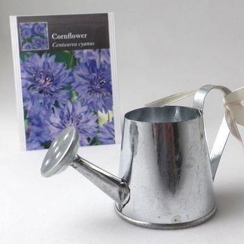 Wildflower Seeds And Watering Can Wedding Favours, 9 of 10