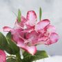 Luxury Artificial Rose With Vase, thumbnail 8 of 9