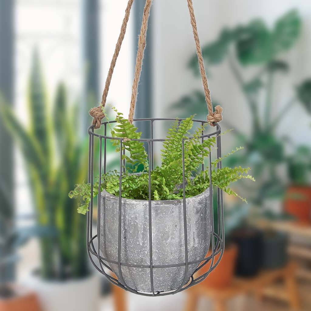 Contemporary Concrete Hanging Basket Planter By Dibor