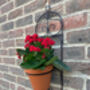 Garden Wall Planter And Flower Pot Holder Garden Decor Metal, thumbnail 5 of 9