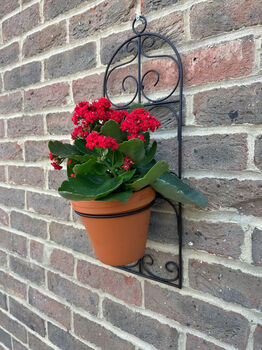 Garden Wall Planter And Flower Pot Holder Garden Decor Metal, 5 of 9