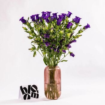 Purple Campanula Fresh Flower Bouquet, 3 of 3