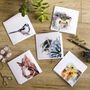Country Garden Collection Pack Of Blank Greeting Cards, thumbnail 7 of 8