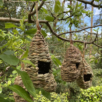 Wild Bird And Insect Roosting Habitat Pack, 4 of 11