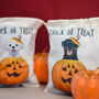 Spooky Trick Or Treat Halloween Dog Treat Bag, thumbnail 10 of 12