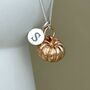 Personalised Large Pumpkin Sterling Silver Necklace, thumbnail 3 of 11