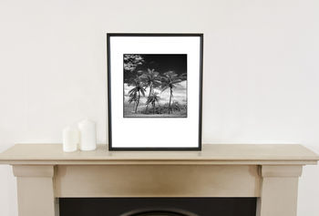 Coconut Trees, Santa Maria Beach Photographic Art Print, 2 of 4