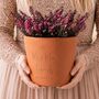 Personalised Mr And Mrs Terracotta Plant Pot, thumbnail 7 of 7
