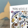 Marine Wildlife Of Britain Greeting Card, thumbnail 6 of 8