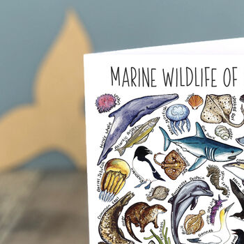 Marine Wildlife Of Britain Greeting Card, 6 of 8