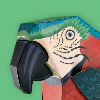 Create Your Own Parrot On A Perch, 4 of 7
