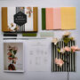 Paper Flower Kit: Blossom, thumbnail 7 of 8