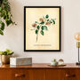 Vintage Style Botanical Burger Print, thumbnail 1 of 10