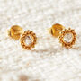 Champagne Diamond Slice Oval Shaped Stud Earrings, thumbnail 5 of 9