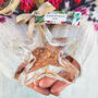 Christmas Gin Star 40%, thumbnail 1 of 1