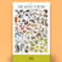 2027 British Wildlife Wall Calendar, thumbnail 7 of 9