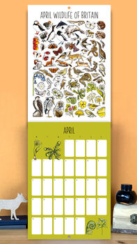 2027 British Wildlife Wall Calendar, 7 of 9