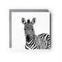Capella The Zebra Safari Hand Drawn Blank Greeting Card, thumbnail 2 of 6