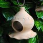 Unusual Outdoor Hanging Bird Feeder, thumbnail 1 of 8